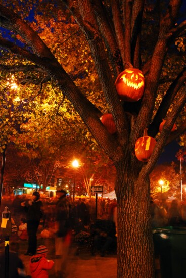 Jack O' Lanterns arranged in a tree in the downtown. 