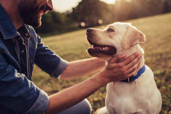 A man with a dog. 