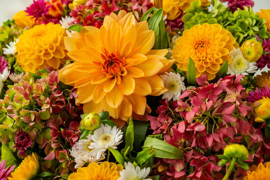 Autumn floral arrangement. 