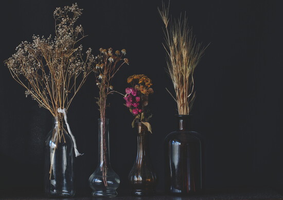 Dried flowers in various vases and bottles.