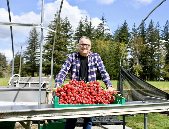 Craig and the gorgeous radishes 