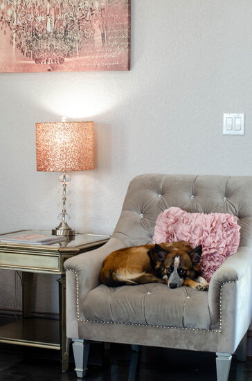 Photo by Sara Giddens Jacobs