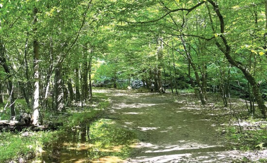 Hildacy Farm Preserve Loop