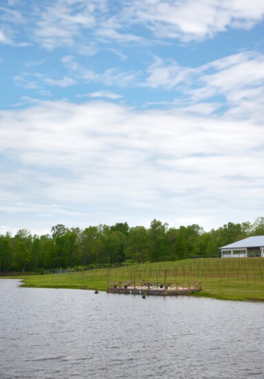 Delta Blues Winery is located in a beautiful wooded setting in Lakeland Tennessee.