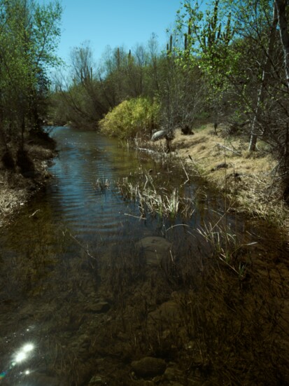 Cave Creek flowing 