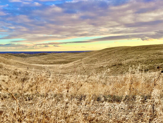 The 6,000 acre land plan allows for more than 50% open space