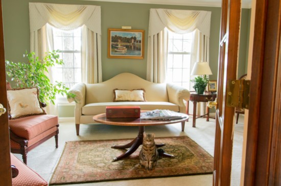 Nicole helped Caren pick out window treatments, as well as paint colors in her formal living room. 