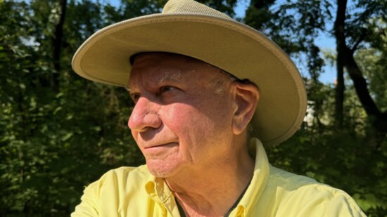 Dennis Bolazina, book author, "Desire"