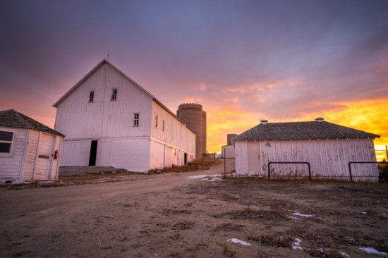 The main barn and sheds at Fox Hill. 