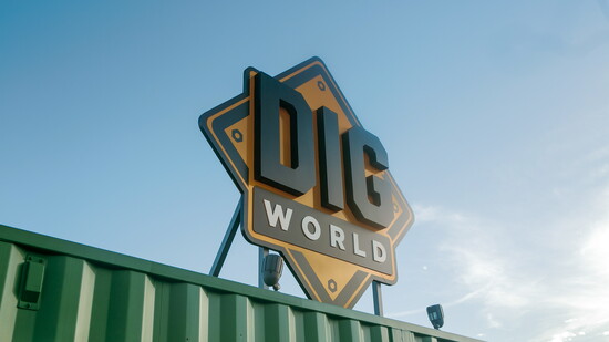 Dig World