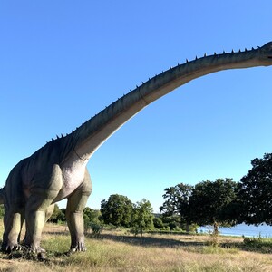 dino02brachiosaurus-300?v=1