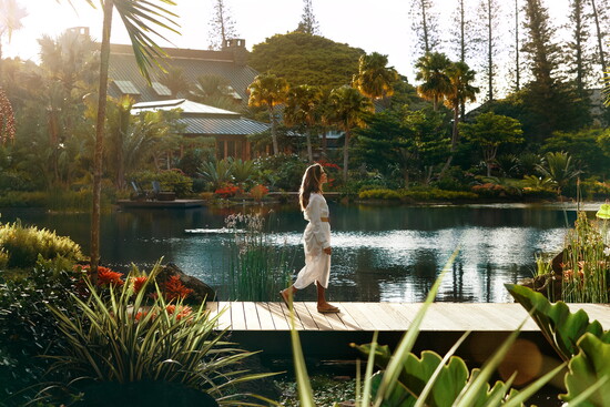 Photo Credit: Alex Farnum