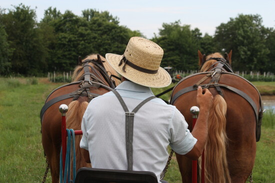 Country Lane Farms