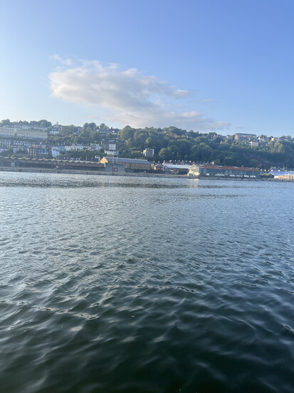 Cork 