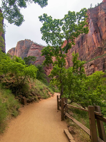 Pathway in Zion National Park