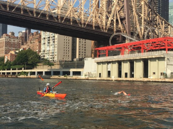 Photo provided | John’s New York City bridges swim.