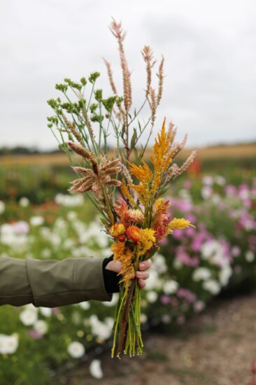 Hand picked at Lakeside Farm and Flowers