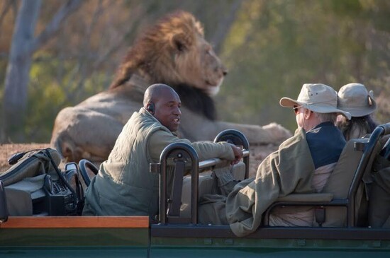 Safari, South Africa