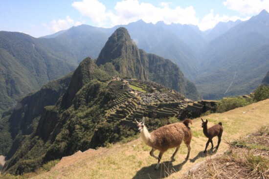 Machu Picchu 