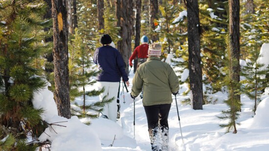 The simple purchase of snowshoes allows year-round hiking. Mianus is a great place to snowshoe with friends.