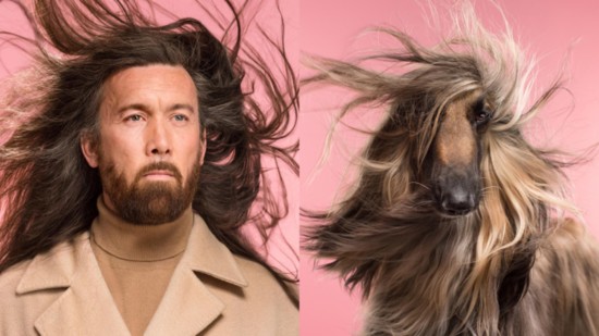 Henry and Hope, an Afghan hound
