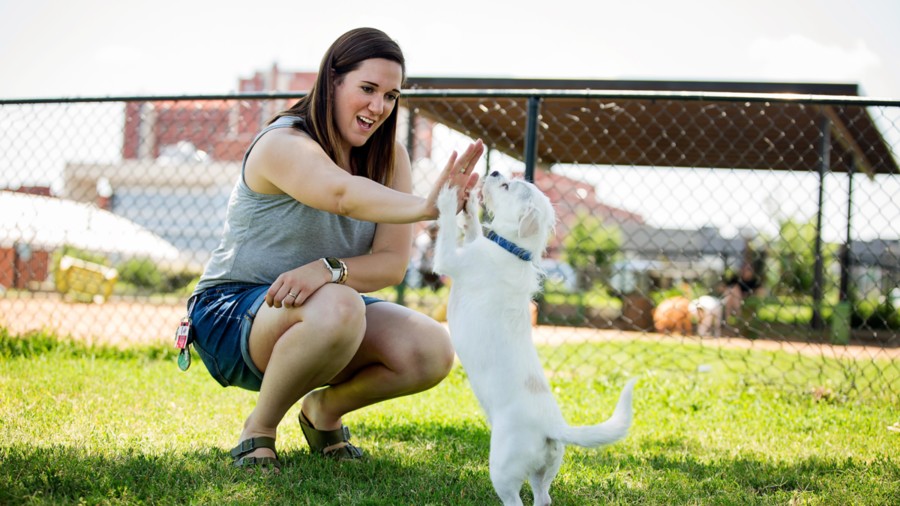 Man Scolds Aunty For Letting Dogs Play On Public Playground's