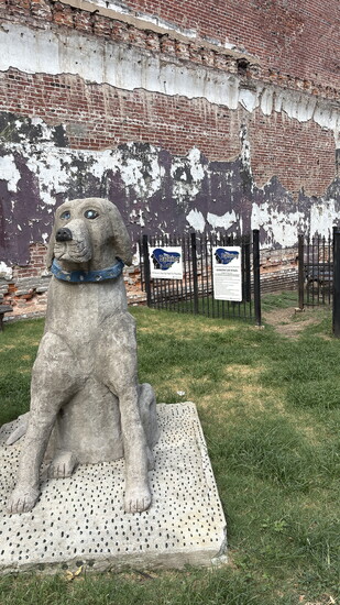 The Barking Lot pop-up dog park.
