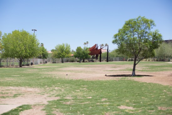 Chaparral Dog Park