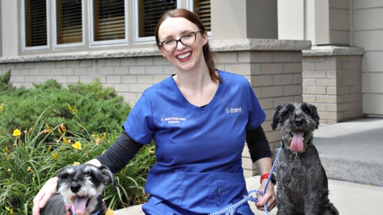 Roco and Totti Dr. Jessica / Victoria Veterinary Hospital 