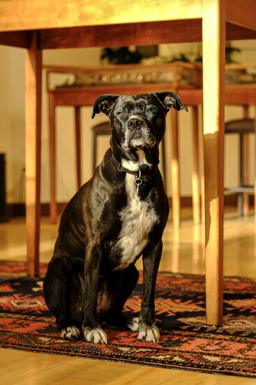 A resident at Grinstein Jewelry & Design