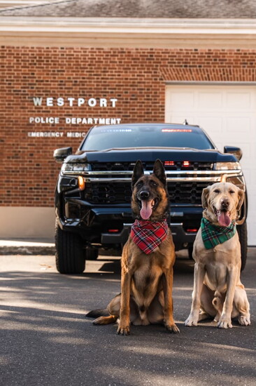 Brutte and Ambo. Photo by Rachel Hall. 