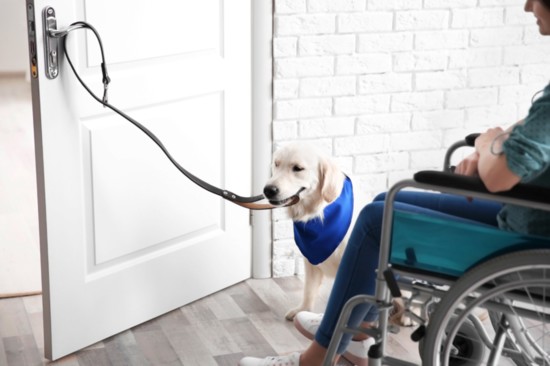 Mobility assistance