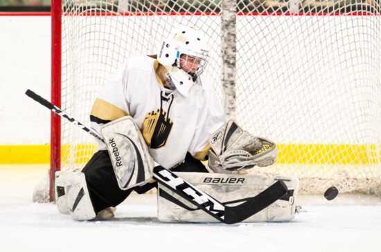 Stopping the Puck