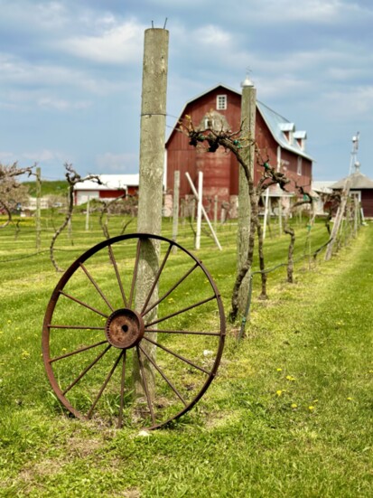 Lautenbach's Orchard, Fish Creek