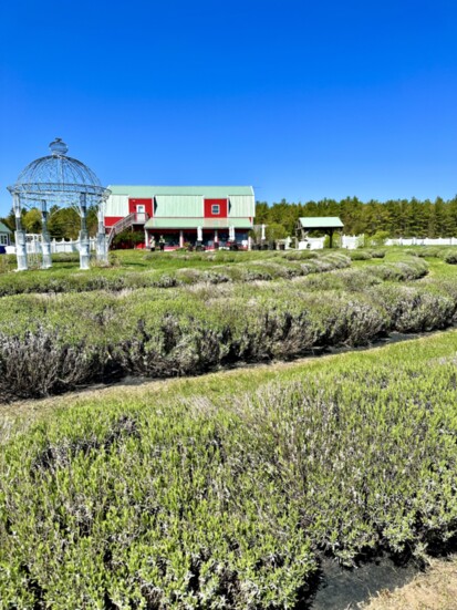 Fragrant Isle, Washington Island