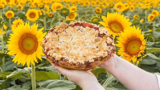 Featured image for Dream It, Bake It
