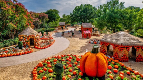 Dallas Arboretum