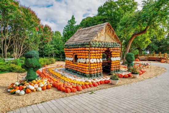 Dallas Arboretum