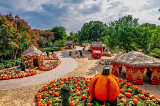 Dallas Arboretum