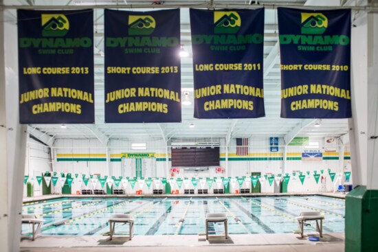 Dynamo Swim School celebrates 60 years of teaching swimming and water safety.