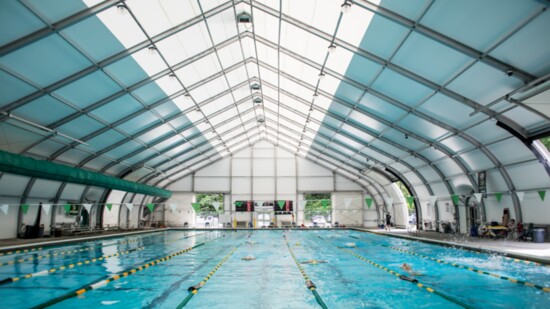 Dynamo Swim School features olympic sized pools.