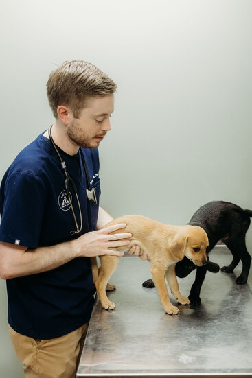Dr. Payden Smith with patients
