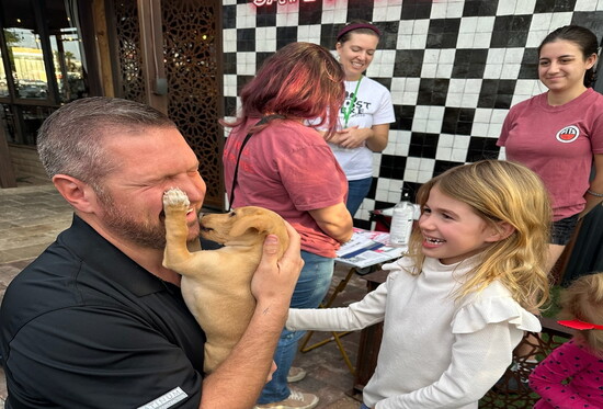 Courtesy Pizza to the Rescue