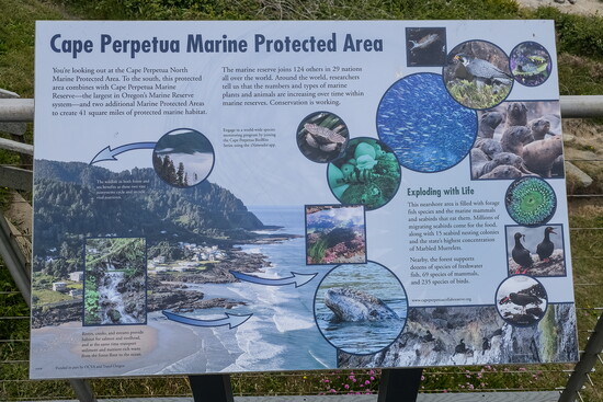 Interpretive sign for Cape Perpetua