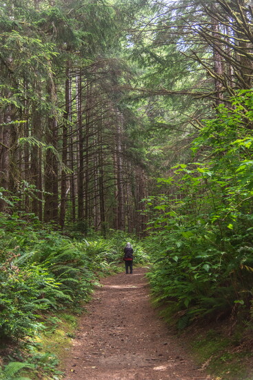 Cummins Creek Wilderness, Cape Perpetua