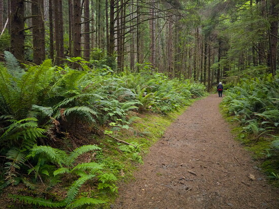 Hiking in Cape Perpetua