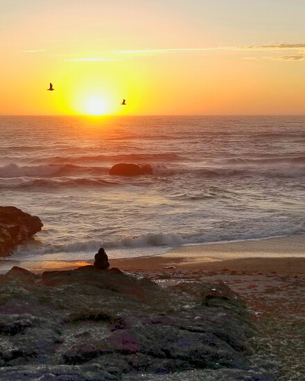Sunset captivates near the Yachats 804 Trail