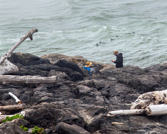 Inspecting tidepools near Cape Perpetua