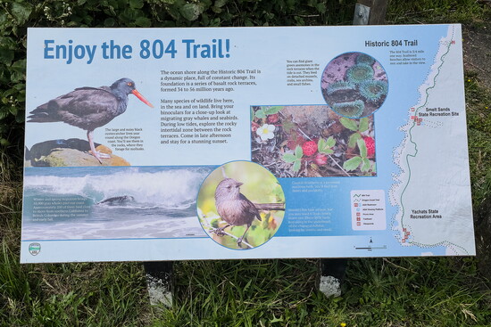 Interpretive sign on the Yachats 804 Trail