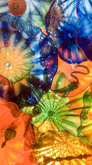 Chihuly Garden and Glass, Photography by Emily Shea